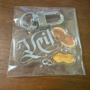 TAEMIN 테민 Veil 가챠 치바 투어 키링