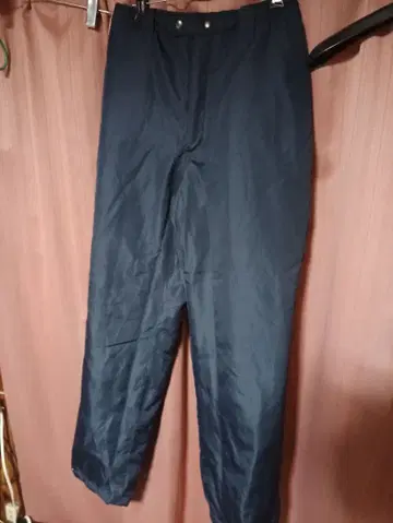 워크맨제 단열 반사 소재 HEAT ASSIST 네이비 워크 팬츠 나일론