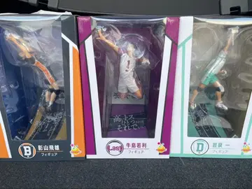 Happy 복권 하이큐!! 라스트 원 B상 D상 피규어