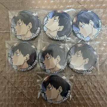 하이큐 캐릭터 배지 컬렉션 캔뱃지 B 카게야마 토비오 7개