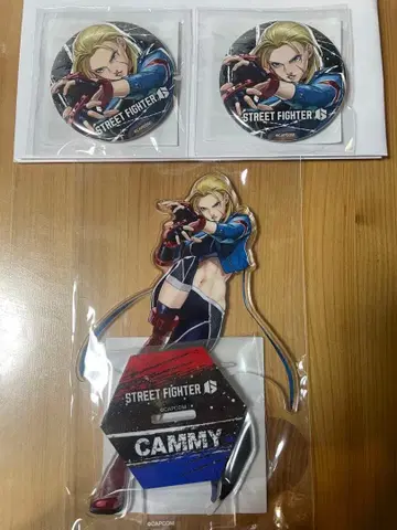 스트리트 파이터 6 캡슐 복권 B상 E상 캐미 아크릴 스탠드 캔뱃지
