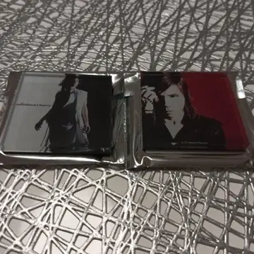 Acid Black Cherry 아크릴 마그넷 2개 세트