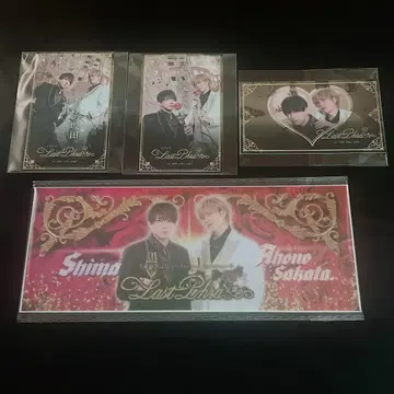 시마사카 명함 카드 펜라이트 시트