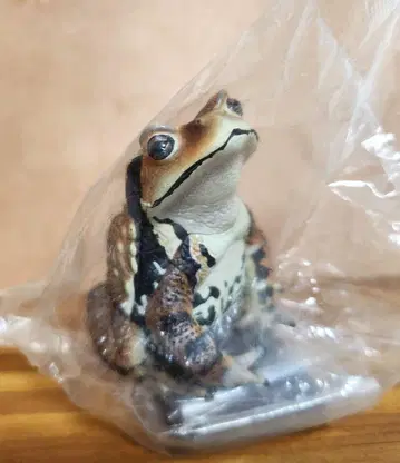 가챠 일본 개구리 특장판 니혼히키 개구리 정교 미니어처