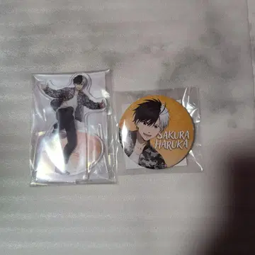 윈브레 세가 럭키 쿠지 벚꽃 하루카 아크릴 스탠드 캔뱃지