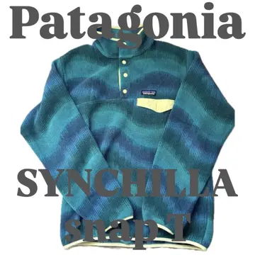 Patagonia Synchilla SnapT Fleece