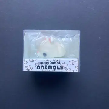 모니마루즈 시바견 화이트