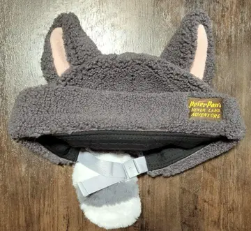 디즈니씨 판타지 스프링스 잃어버린 아이들 팬캡