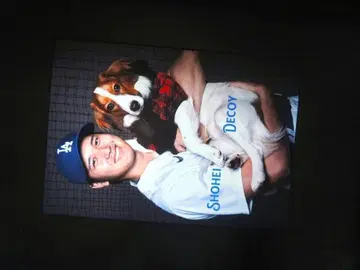 A4 액자 포함 포스터 Decoy 데코핀 오타니 쇼헤이 다저스 귀여운