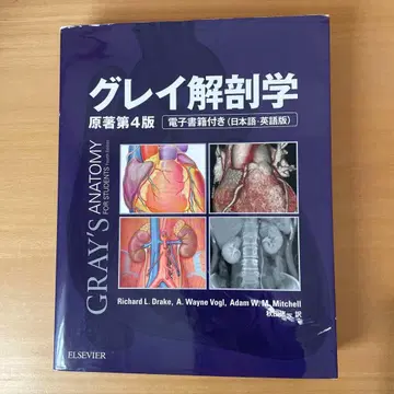 그레이 해부학 원저 제4판