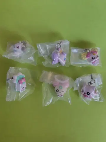 푸치큐어 메지루시 액세서리 2 (총 6종)