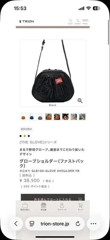 TRION GLB100 숄더백 블랙