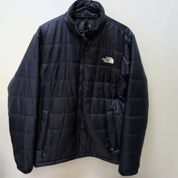 THE NORTH FACE 네이비 다운 자켓