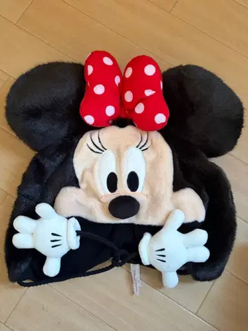 디즈니 미니 팬캡