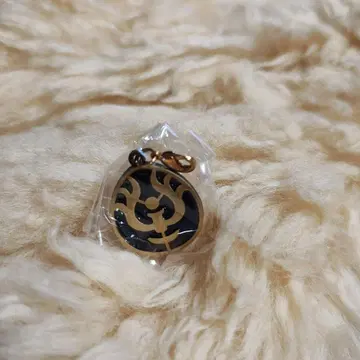 라퓨타 참 1986년 주석제