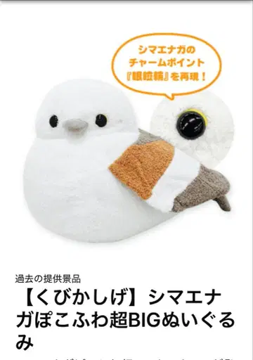 시마연가 포코후와 초 BIG 봉제 인형 온라인 크레인 게임 획득품