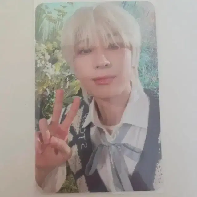 세븐틴 원우 디스맨 알라딘 포카