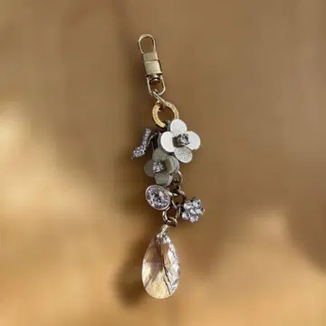 ANTEPRIMA 꽃과 크리스탈 참