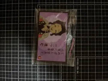 귀멸의 칼날 귀멸의 칼날 대정귀살대 쌍륙 아크릴 참 코쵸우 시노부