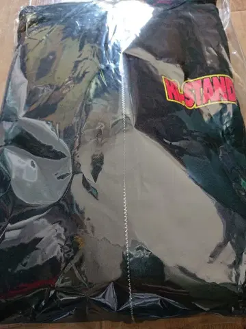 Hi-STANDARD 후드티 XL 하이스타 굿즈