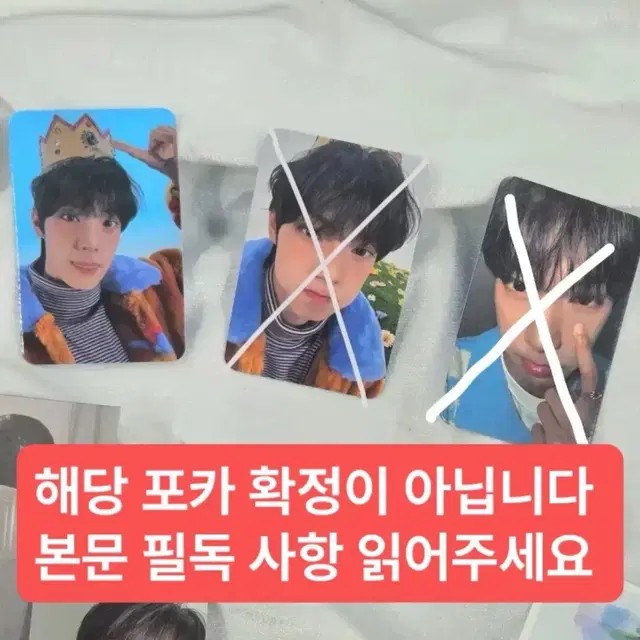 최립우 미개봉 앨범 포토북 포카 미공포 보플2 디마뮤 후즈팬 분철 앺뮤