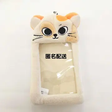 BOYNEXTDOOR 성호 트레이딩 카드 케이스