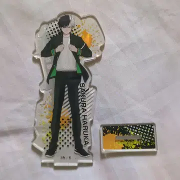 WINDBREAKER 사쿠라 하루카 아크릴 스탠드 남코 한정판