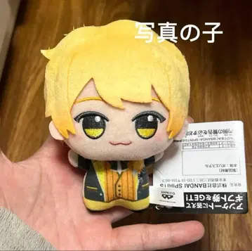 AMPTAKxCOLORS 앰프턱컬러즈 SD 인형 아키