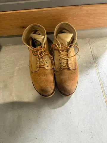 레드윙 redwing 베이지 스웨이드 워크 부츠 개택