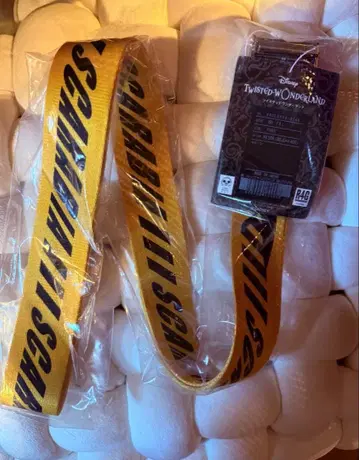 트위스테/스칼라비아 R4G 콜라보 벨트