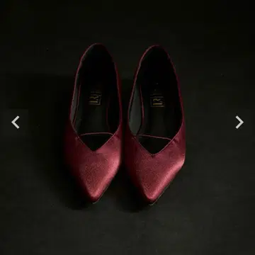 LE'RURE V cutting flat pumps