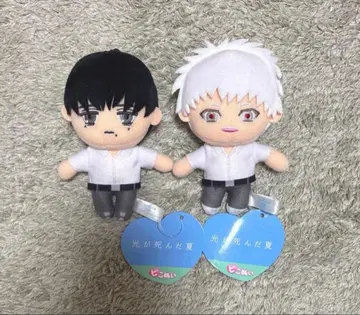 빛이 죽은 여름 피코누이