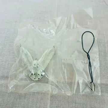 598. 해양당 홋카이도 랜드 흰올빼미 2