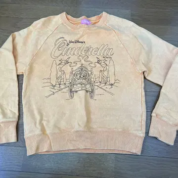 신데렐라 트레이닝복 웨딩 매력적인 파랑새 디즈니