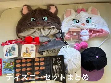 디즈니 세트 메달. 모자