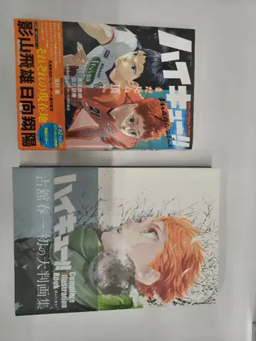 하이큐!! 잡지와 아트북 세트