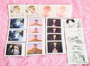 기븐 카시마 히이라기 파샤코레