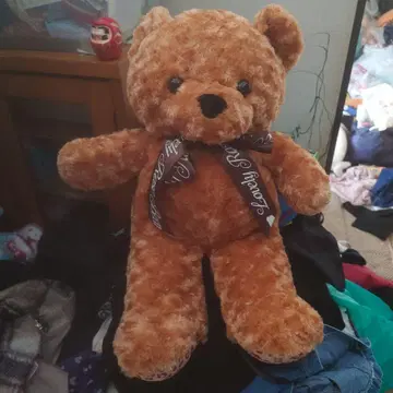 브라운 곰 봉제 인형