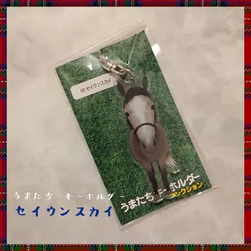 우마타치 키링 세이운 스카이