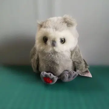 Antler House 올빼미 봉제 인형