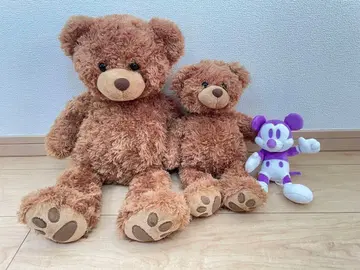 테디베어 2체 세트, 덤 미키