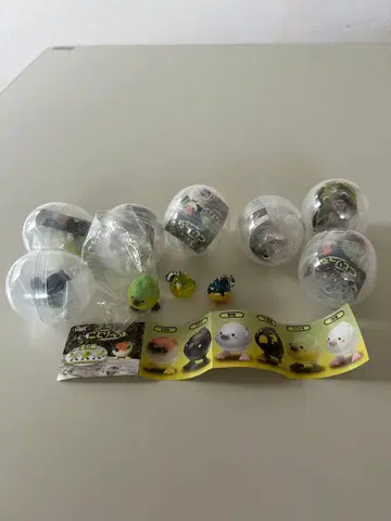 본게식 [코토리치] 세트