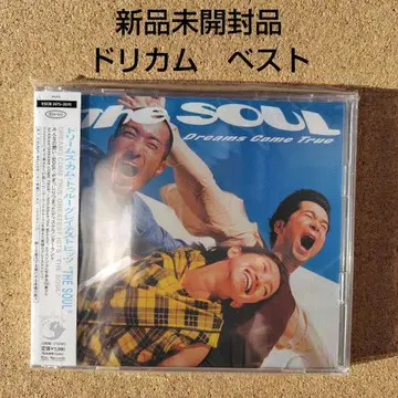 새상품 드림즈 컴 트루/그레이티스트 히츠 'THE SOUL'