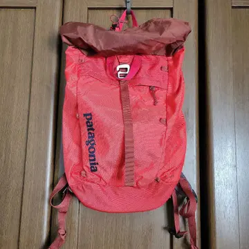 Patagonia Linked 16L 레드 백팩