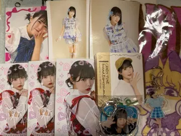 후쿠야마 리노 세트