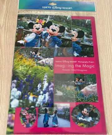 디즈니 이매지닝 더 매직 엽서 클리어 파일 세트