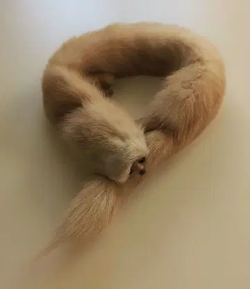 빈티지 텐의 퍼