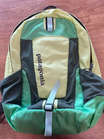 patagonia 백팩 22L 라이트 그린