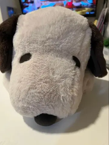 PLAZA 한정판 스누피 티슈 케이스