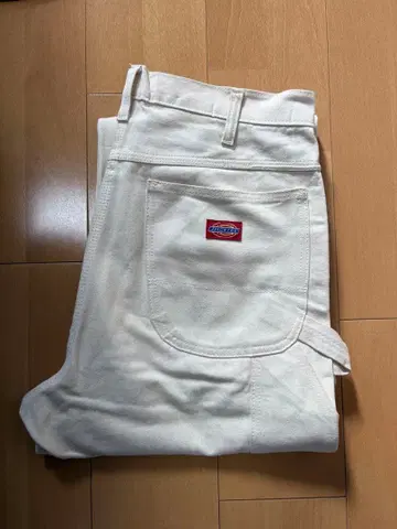 Dickies 페인터 팬츠